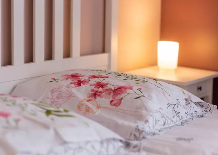 Loc Trotteur Le Pivoine Grand Confort, Gare Sncf De ルルド