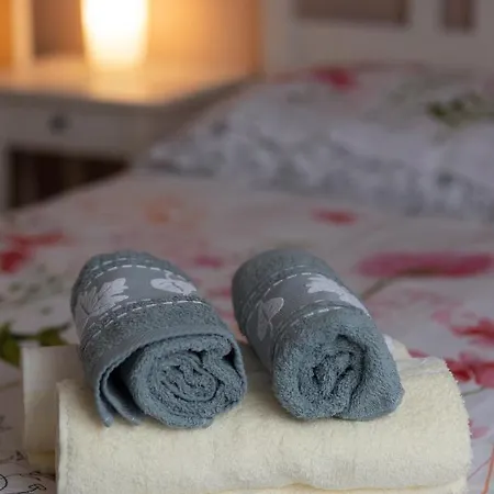 Loc Trotteur Le Pivoine Grand Confort, Gare Sncf De Lejlighed *