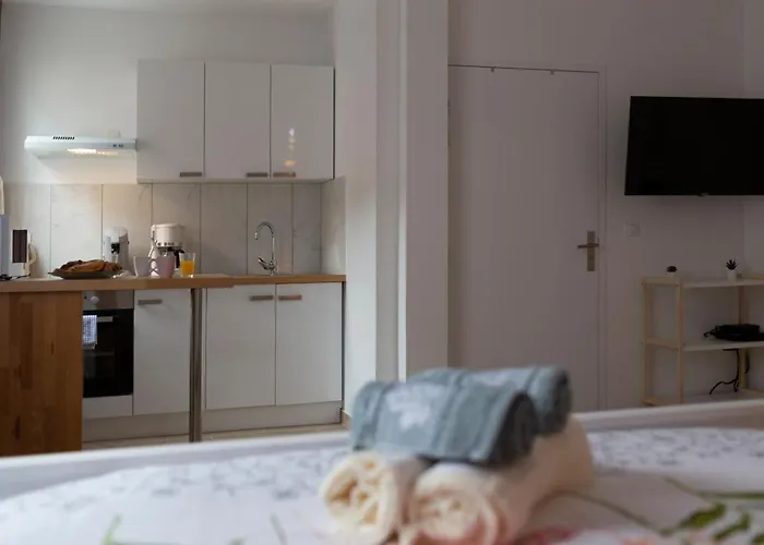 Appartement Loc Trotteur Le Pivoine Grand Confort, Gare Sncf De Lourdes