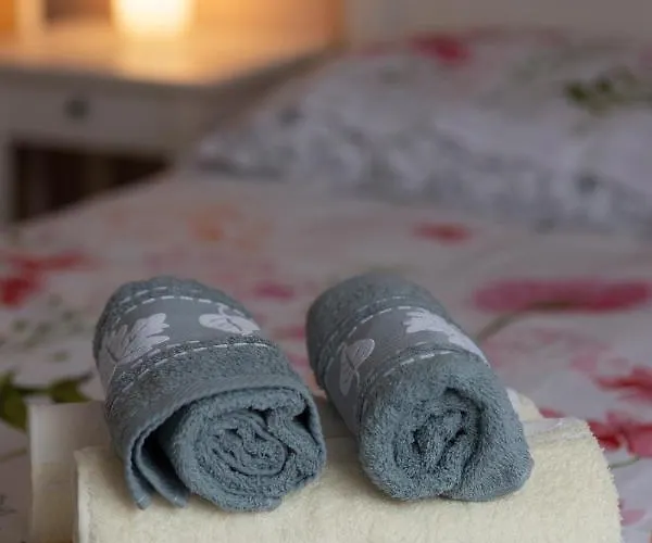 Loc Trotteur Le Pivoine Grand Confort, Gare Sncf De Apartman *