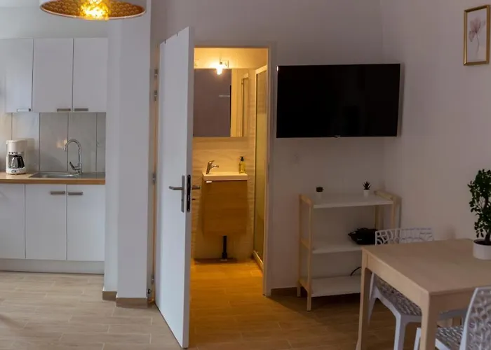 Loc Trotteur Le Pivoine Grand Confort, Gare Sncf De Apartman