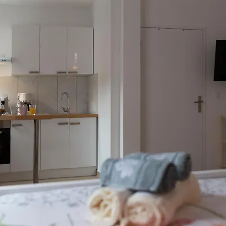 Apartment Loc Trotteur Le Pivoine Grand Confort, Gare Sncf De Lourdes